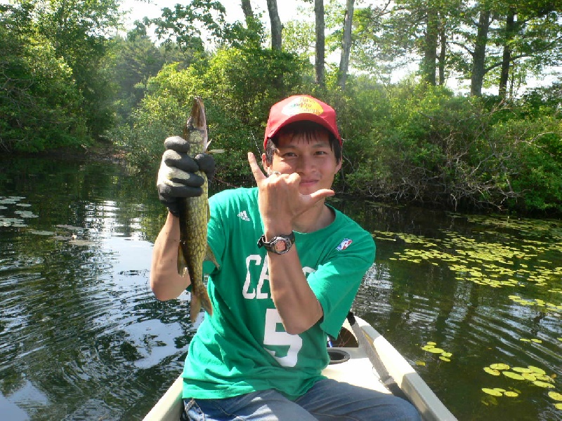 nice fish in Neponset res