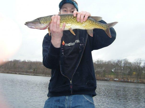 5lb Pickerel