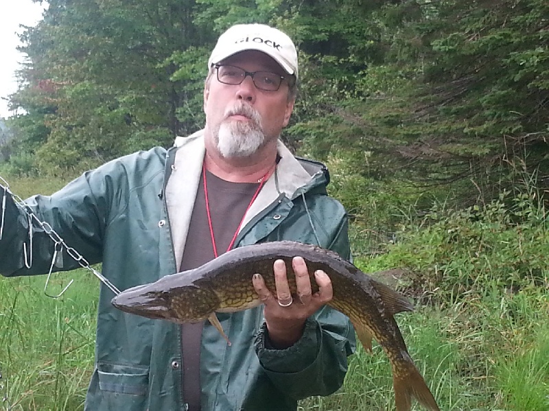 26 inch pickerel